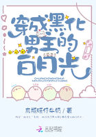 逐光者