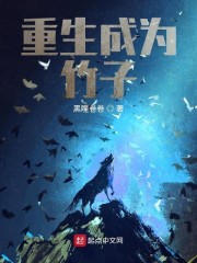 赌石鉴宝类小说