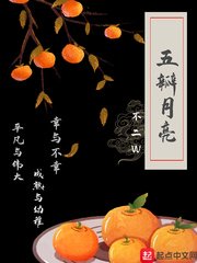 dz焦点嫁祸宏