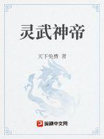 杨家洼情事
