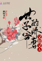 番茄最新小说