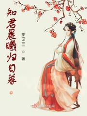 宝书网小说txt下载手机版