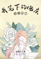 18视频网站在线观看