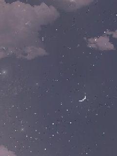 说出你的愿望吧