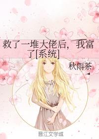 西出玉门小说