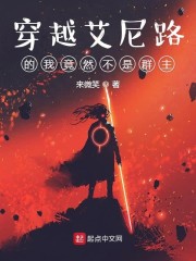 龟甲小说目录列表阅读