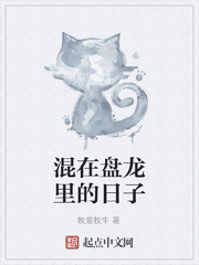 殷桃电视剧大全