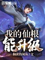 全在开车没停过的电影