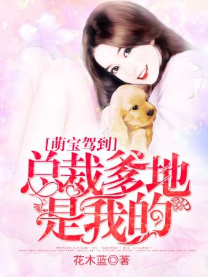 楚留香之蝙蝠传奇