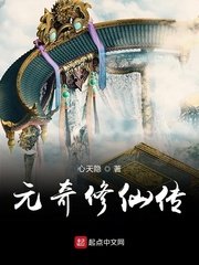 忘却的银狐