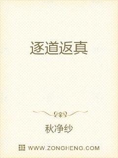 出轨的味道HD高清