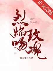 喷泉辛浮1V3