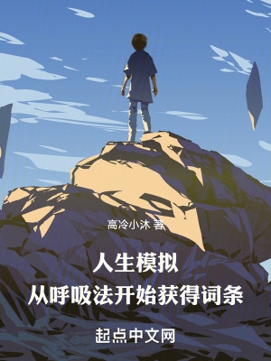 视频入口