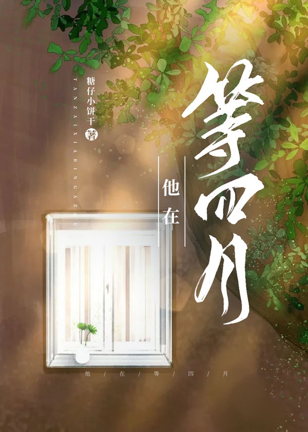 东宫电视剧免费