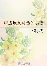 wishroom3资源下载