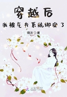 西野翔无插件在线播放