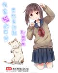 恋男乱女