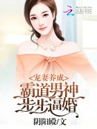 主角叫叶辰的修真小说