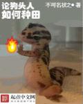 chc家庭影院