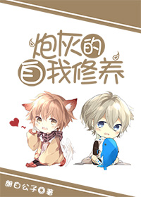 碟调网手机版播放器