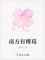 美女视频在线观看网站