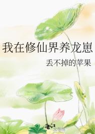 茄子加速器