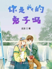 何舞小说