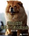 免费爽爽视频