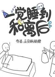 hunta系列全集封面