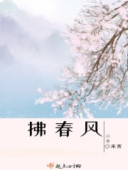 草莓视频下载安装无限看丝瓜大全免费版官网