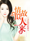 杂乱小说1