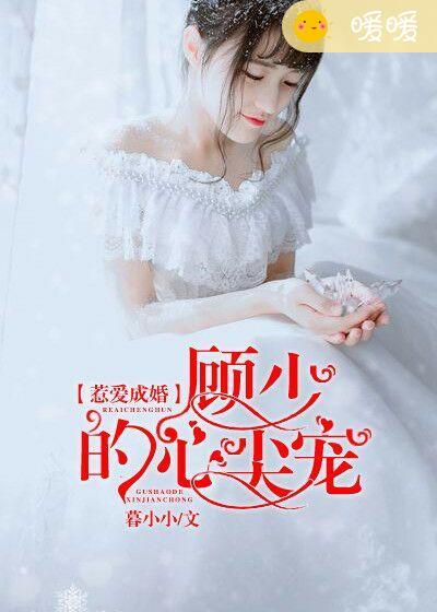 婚前试爱新婚夜