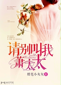 浅婚衍衍免费阅读
