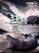 dydog韩国限制