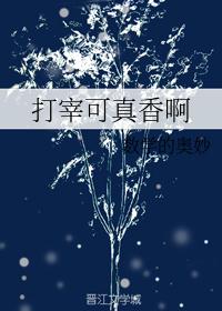 新著龙虎门