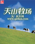 代刷自助下单平台