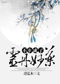 袖手姻缘