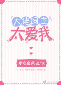火影很汰网