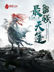 hs软件
