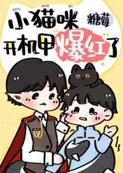 将她抵在墙上缓缓进入