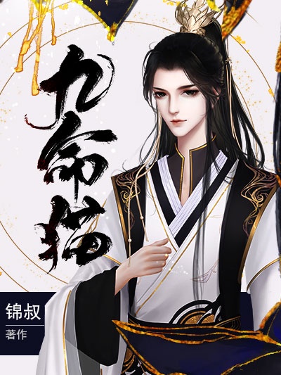视频区小说区