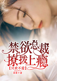 晚上女同