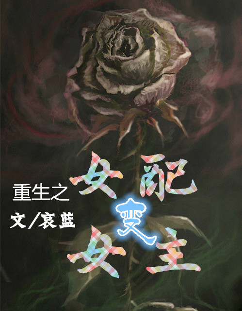 资源站稳定懂你