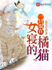 我的极品美女总裁秦海