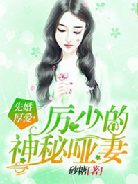 总裁类小说