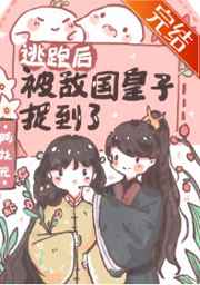 soul网页版