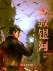 乱系列500小说合集下