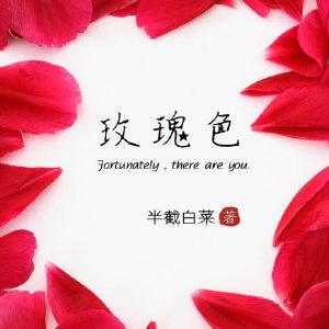 自动综合罗盘