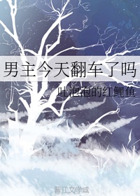阳光之下原著小说