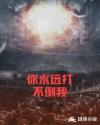 仙林踪官方网站仙林踪免费